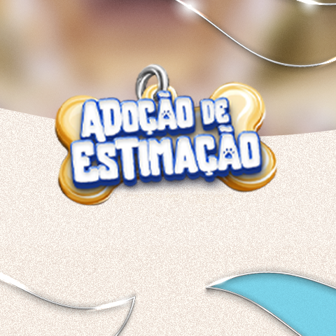 Adoção de Estimação 29/08