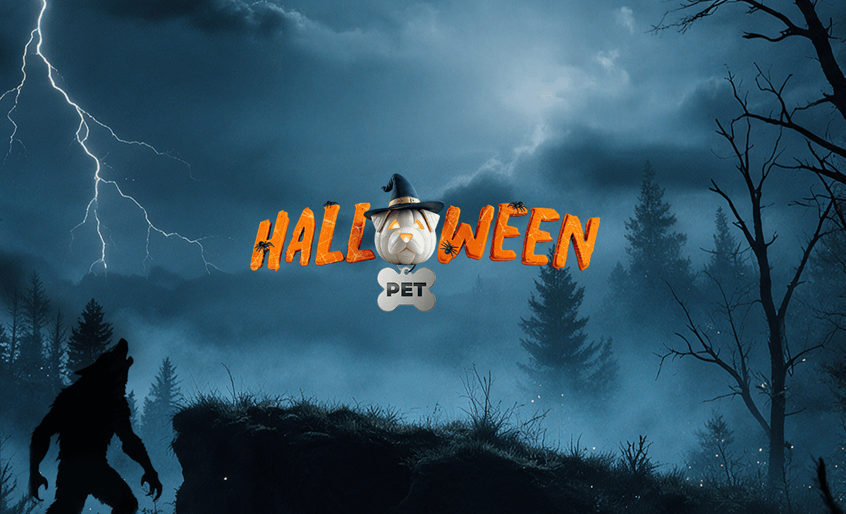 Halloween Pet