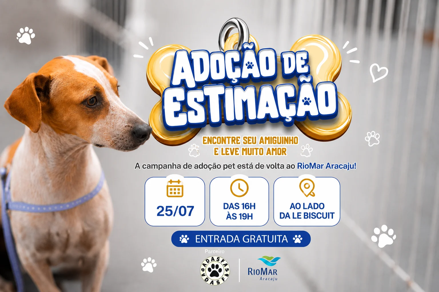 A campanha de adoção pet está de volta ao RioMar Aracaju!