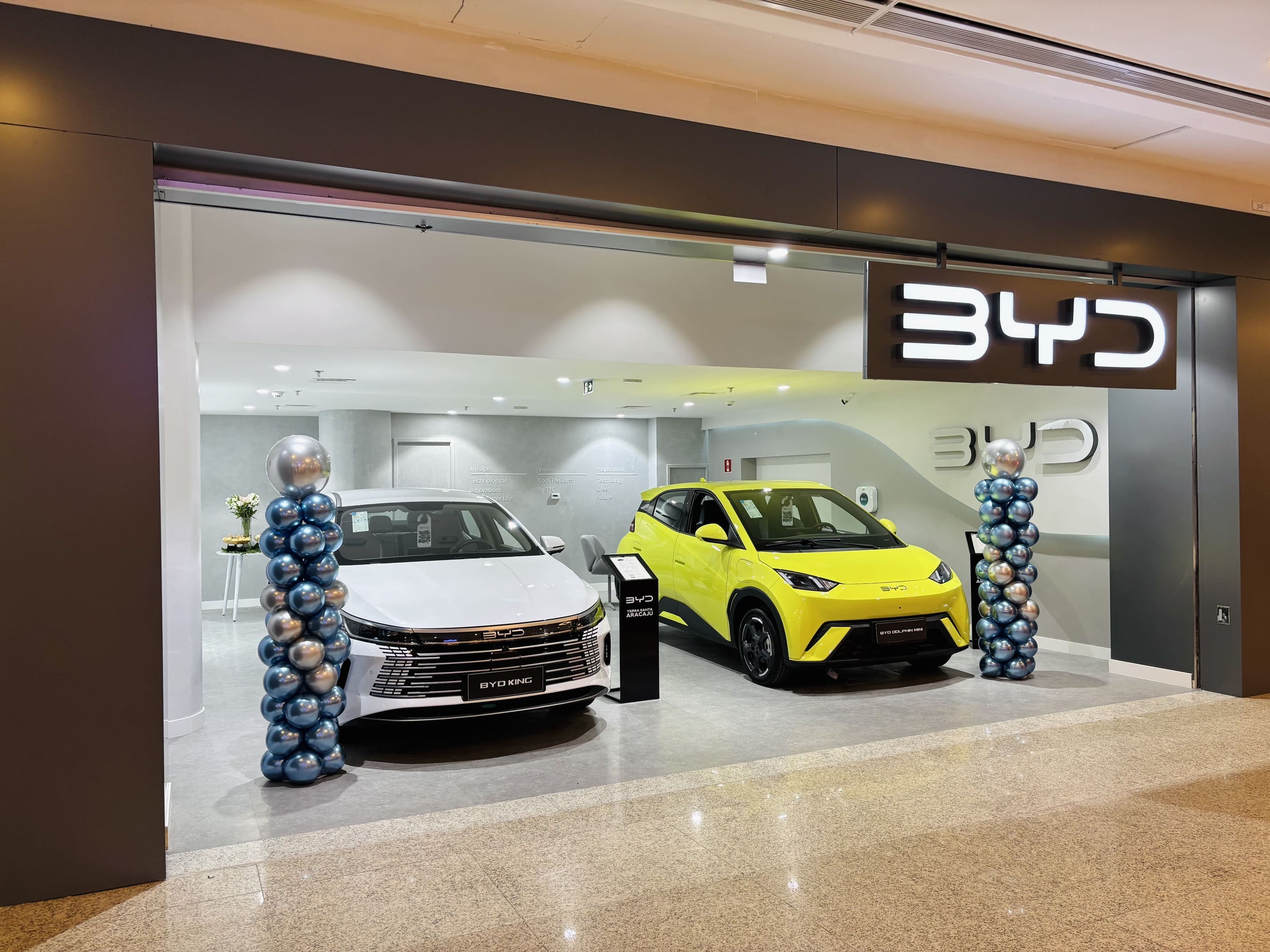 BYD TERRA SANTA