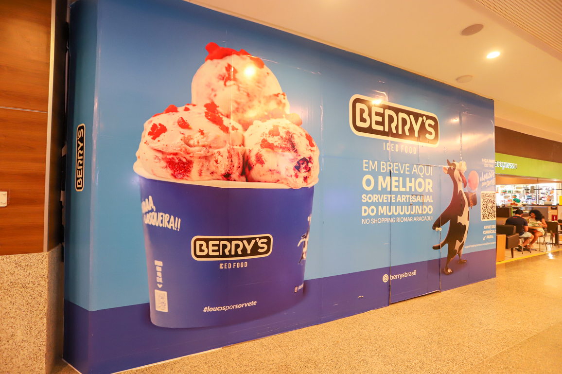 BERRY S ICE FOOD