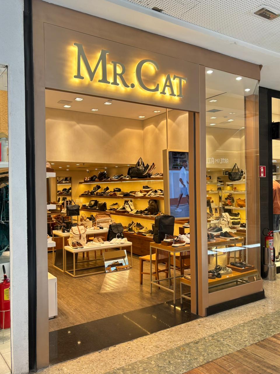 MR. CAT